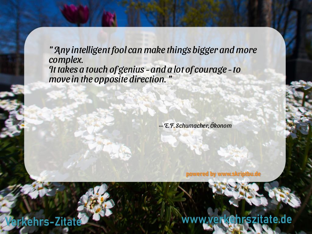 Any intelligent fool can make things bigger and more complex. 
It takes a touch of genius - and a lot of courage - to move in the opposite direction., E.F. Schumacher, Ökonom